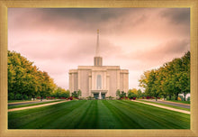 Load image into Gallery viewer, St. Louis Temple Brighter Days Ahead
