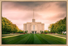 Load image into Gallery viewer, St. Louis Temple Brighter Days Ahead
