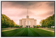 Load image into Gallery viewer, St. Louis Temple Brighter Days Ahead
