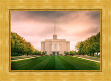 Load image into Gallery viewer, St. Louis Temple Brighter Days Ahead
