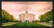 Load image into Gallery viewer, St. Louis Temple Brighter Days Ahead
