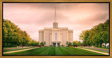 Load image into Gallery viewer, St. Louis Temple Brighter Days Ahead
