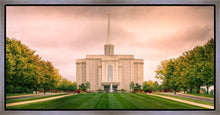 Load image into Gallery viewer, St. Louis Temple Brighter Days Ahead
