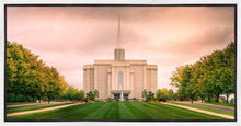 Load image into Gallery viewer, St. Louis Temple Brighter Days Ahead
