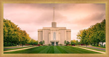 Load image into Gallery viewer, St. Louis Temple Brighter Days Ahead
