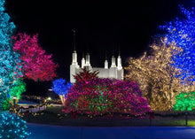 Load image into Gallery viewer, Washington DC Temple Colorful Christmas
