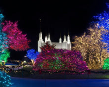 Load image into Gallery viewer, Washington DC Temple Colorful Christmas
