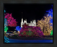 Load image into Gallery viewer, Washington DC Temple Colorful Christmas
