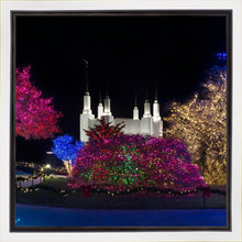 Load image into Gallery viewer, Washington DC Temple Colorful Christmas
