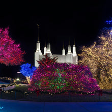 Load image into Gallery viewer, Washington DC Temple Colorful Christmas
