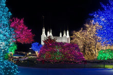Load image into Gallery viewer, Washington DC Temple Colorful Christmas
