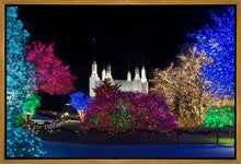 Load image into Gallery viewer, Washington DC Temple Colorful Christmas
