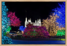 Load image into Gallery viewer, Washington DC Temple Colorful Christmas
