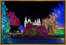 Load image into Gallery viewer, Washington DC Temple Colorful Christmas

