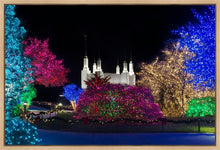 Load image into Gallery viewer, Washington DC Temple Colorful Christmas
