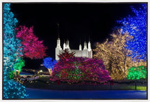 Load image into Gallery viewer, Washington DC Temple Colorful Christmas
