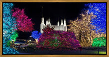 Load image into Gallery viewer, Washington DC Temple Colorful Christmas
