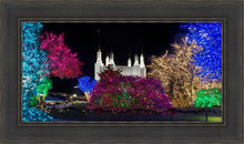 Load image into Gallery viewer, Washington DC Temple Colorful Christmas
