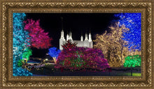 Load image into Gallery viewer, Washington DC Temple Colorful Christmas
