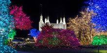 Load image into Gallery viewer, Washington DC Temple Colorful Christmas
