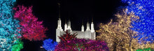 Load image into Gallery viewer, Washington DC Temple Colorful Christmas
