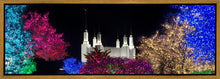 Load image into Gallery viewer, Washington DC Temple Colorful Christmas
