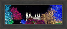 Load image into Gallery viewer, Washington DC Temple Colorful Christmas
