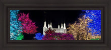 Load image into Gallery viewer, Washington DC Temple Colorful Christmas
