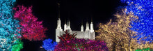 Load image into Gallery viewer, Washington DC Temple Colorful Christmas
