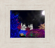 Load image into Gallery viewer, Washington DC Temple Christmas Spirit
