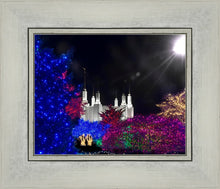 Load image into Gallery viewer, Washington DC Temple Christmas Spirit
