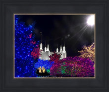 Load image into Gallery viewer, Washington DC Temple Christmas Spirit
