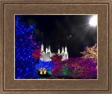 Load image into Gallery viewer, Washington DC Temple Christmas Spirit
