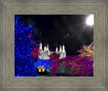 Load image into Gallery viewer, Washington DC Temple Christmas Spirit
