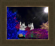 Load image into Gallery viewer, Washington DC Temple Christmas Spirit
