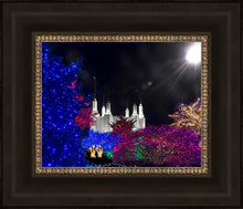 Load image into Gallery viewer, Washington DC Temple Christmas Spirit
