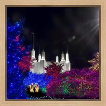 Load image into Gallery viewer, Washington DC Temple Christmas Spirit
