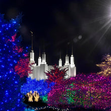 Load image into Gallery viewer, Washington DC Temple Christmas Spirit
