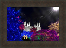 Load image into Gallery viewer, Washington DC Temple Christmas Spirit
