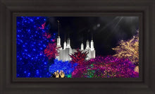 Load image into Gallery viewer, Washington DC Temple Christmas Spirit
