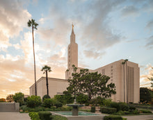 Load image into Gallery viewer, Los Angeles Eternal Gardens
