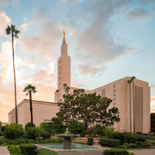Load image into Gallery viewer, Los Angeles Eternal Gardens
