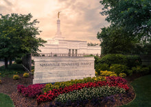 Load image into Gallery viewer, Nashville After The Storm
