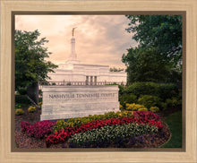 Load image into Gallery viewer, Nashville After The Storm
