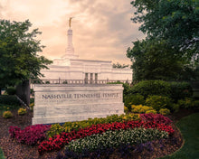 Load image into Gallery viewer, Nashville After The Storm
