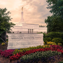 Load image into Gallery viewer, Nashville After The Storm
