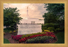 Load image into Gallery viewer, Nashville After The Storm
