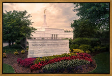 Load image into Gallery viewer, Nashville After The Storm
