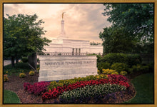 Load image into Gallery viewer, Nashville After The Storm
