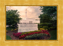 Load image into Gallery viewer, Nashville After The Storm
